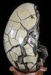 Huge, Septarian Dragon Egg Geode - Crystal Filled #50826-2